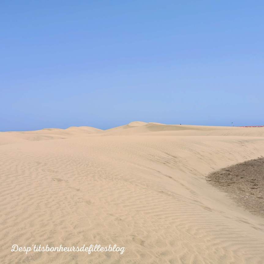voyage gran canaria les dunes de maspalomas
