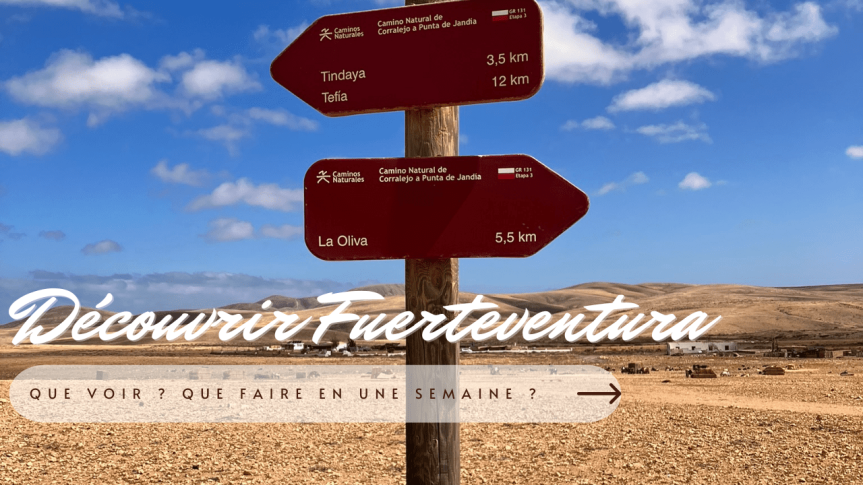 Que Faire à Fuerteventura ? Guide voyage