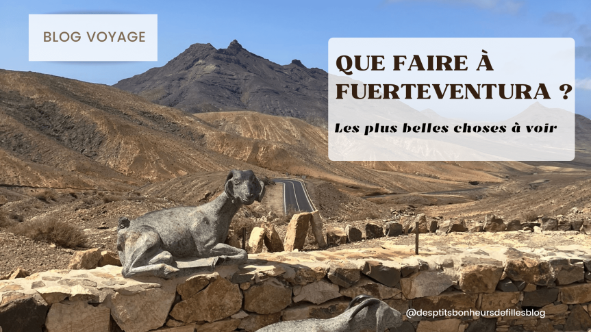 Blog Voyage, Fuerteventura du Nord au Sud
