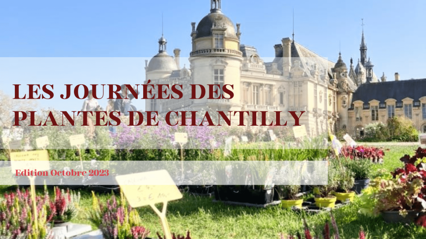 Journées des plantes Chantilly 2023 : Un rendez vous incontournable pour les amoureux de la nature