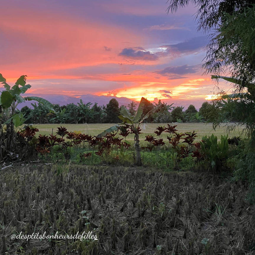 coucher de soleil Bali rizieres